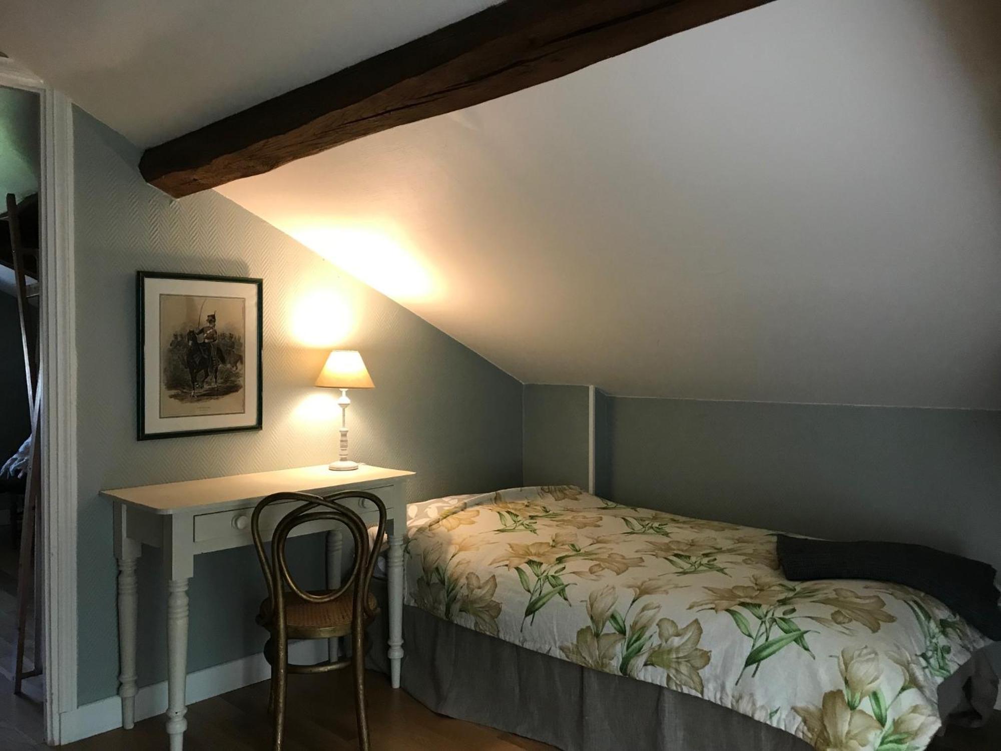 Gite Du Chateau D'Hodebert Saint-Paterne-Racan ภายนอก รูปภาพ