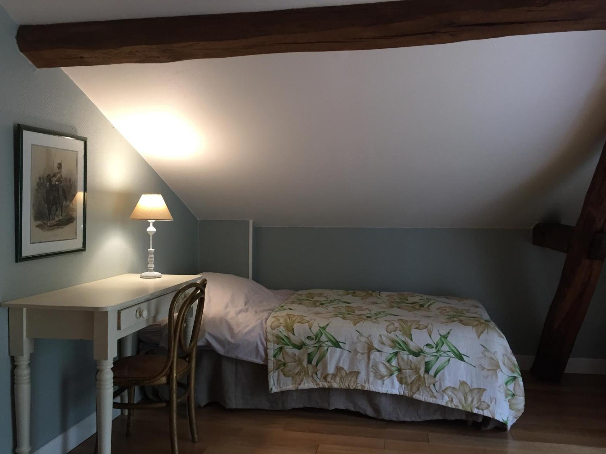 Gite Du Chateau D'Hodebert Saint-Paterne-Racan ภายนอก รูปภาพ